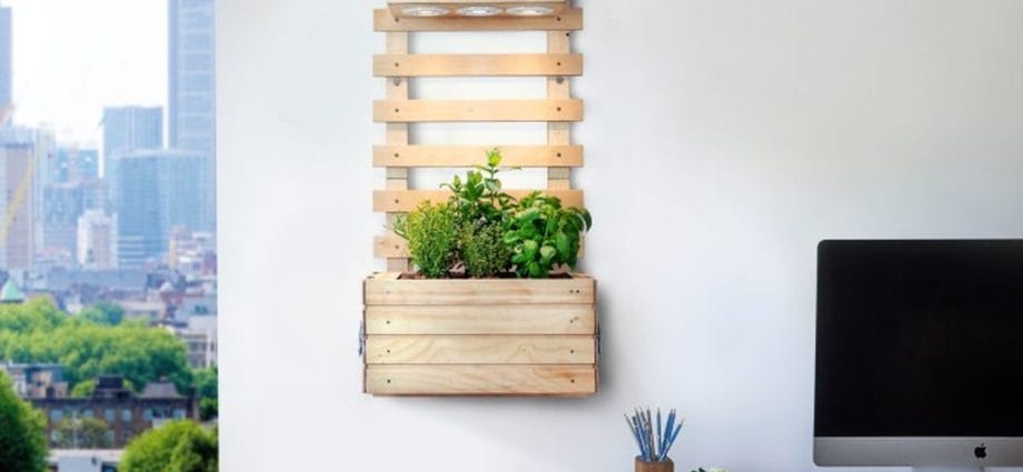 Gartenzwerg Wants to Put a Smart Garden in Your House | Newslibre