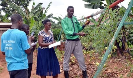 Mak Alumnus Transforming Lives Through Urban Farming and Micro gardening 4