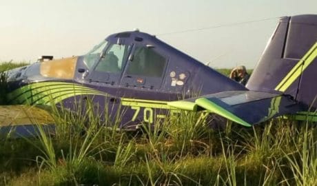 Small plane crash lands in Illovo sugarcane fields.