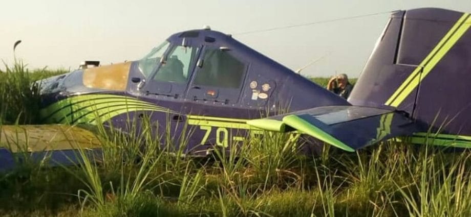 Small plane crash lands in Illovo sugarcane fields.