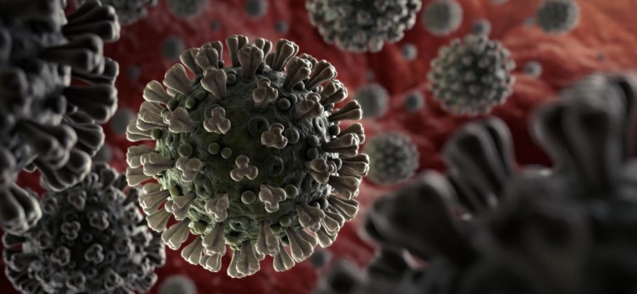 Great News as 525,000 Coronavirus Recoveries Are Registered Worldwide - Newslibre