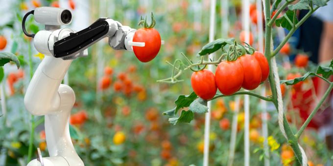 The Future of Agriculture: How are Robots Redefining Farming - Newslibre