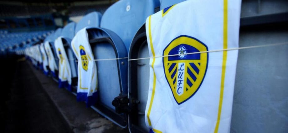 Wolves and Sheffield Offer a Blueprint for Newly Promoted Teams Like Leeds United - Newslibre