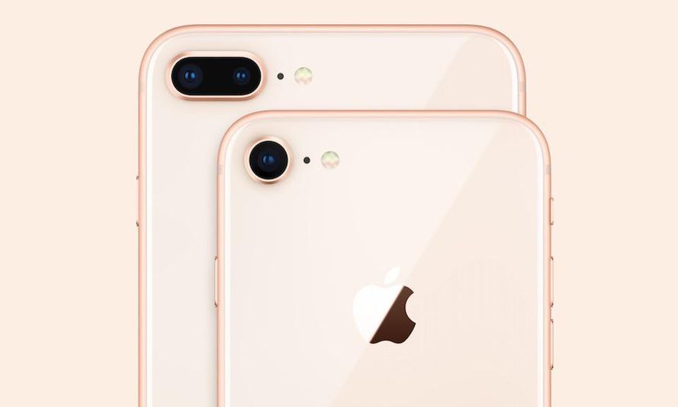What Would Be the Best Pick for You: The iPhone XR Or iPhone 8? - Newslibre