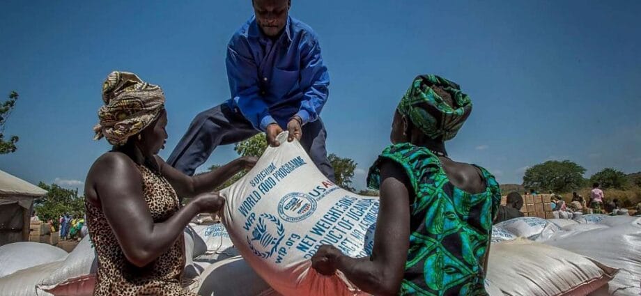 UN World Food Programme Wins Nobel Peace Award - Newslibre