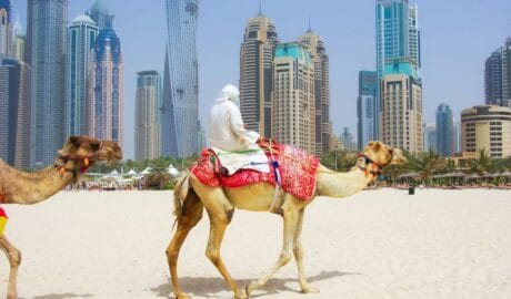 UAE Plans to Offer Citizenship to Some Foreigners In Order to Boost Growth - Newslibre