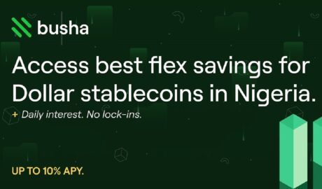 Nigeria's Busha Launches Busha Yield to Allow Customers Earn Up to 10% Annual Interest on Dollar Stablecoins - Newslibre