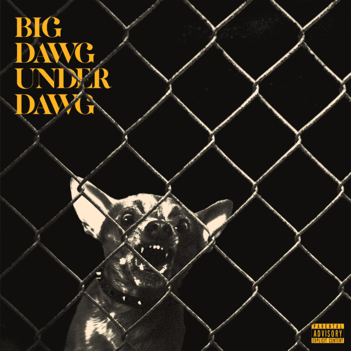 LA Rapper YANK$ Drops New Anthem Banger "Big Dawg Underdawg" - Newslibre