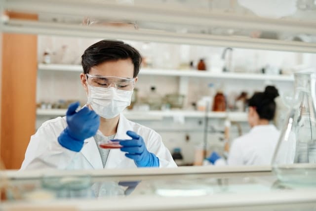 How to Best Prepare to Be A Licensed Pharmacist - Newslibre