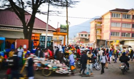 3 Steps On How Africa Can Combat Climate Change - Newslibre