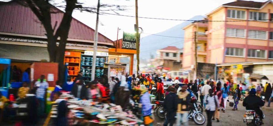 3 Steps On How Africa Can Combat Climate Change - Newslibre