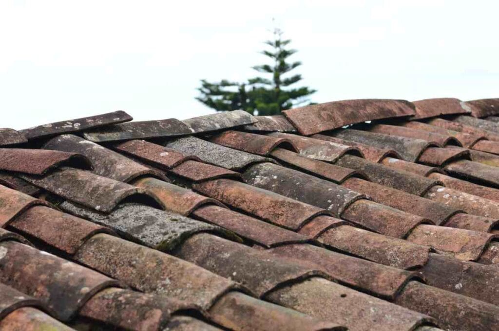 5 Ways You Can Maintain Your Roof - Newslibre