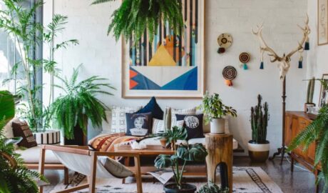 5 Ways to Boost Indoor Plant Life In Your Home - Newslibre