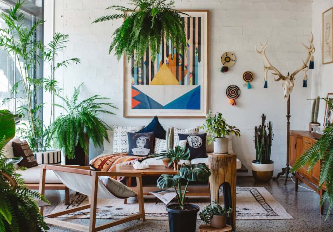 5 Ways to Boost Indoor Plant Life In Your Home - Newslibre