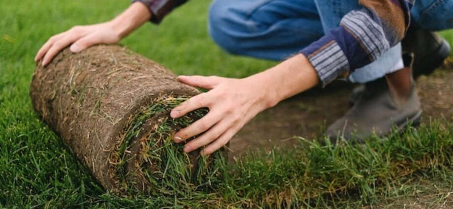 What to Expect When Having Artificial Grass Installed - Newslibre