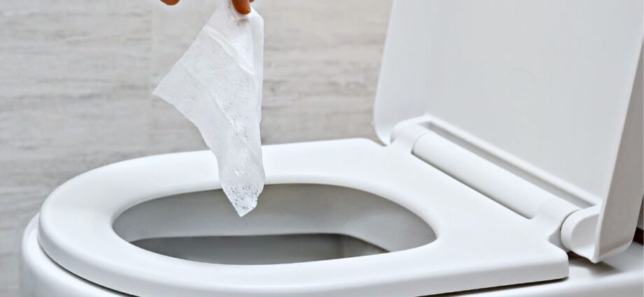 Everyday Items You Should Never Flush Down the Toilet - Newslibre