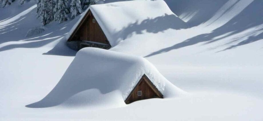 You Won't Survive a Harsh Snow Storm Without Doing These 7 Things 1 You Won't Survive a Harsh Snow Storm Without Doing These 7 Things - Newslibre
