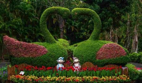 The Path to Becoming a Successful Landscaper - Newslibre