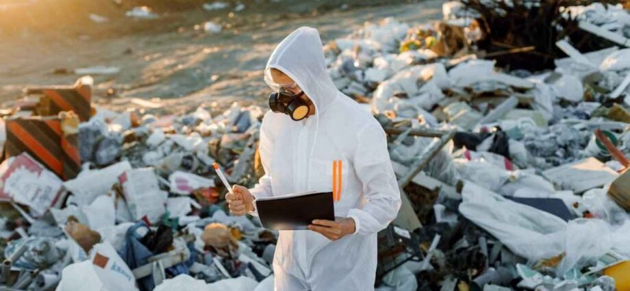 How to Find a Commercial Dumpster Rental and Why Its Good for Your Business - Newslibre