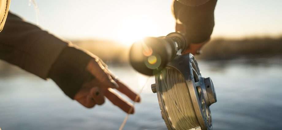 Through the Fog: Essentials to Starting a Fishing Business 1 Through the Fog: Essentials to Starting a Fishing Business - Newslibre