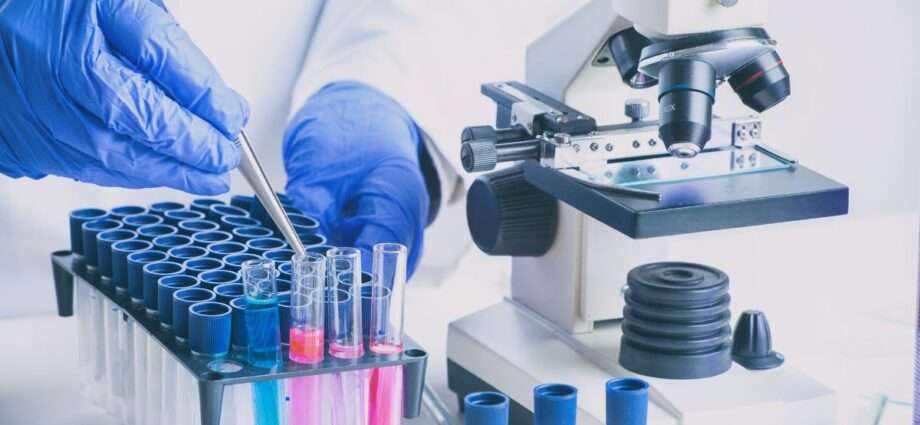 Various Tasks That Your Lab Should Outsource - Newslibre