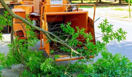 How Custom Wood Chipper Bodies Can Reduce Your Operating Costs and Increase Efficiency - Newslibre