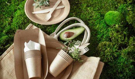 Green Gathering: A Guide to Hosting an Eco-Friendly Party - Newslibre