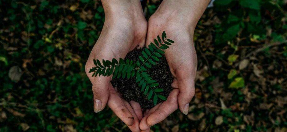 What is an EMS? How Can it Help Businesses? - Newslibre