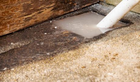 A Homeowner’s Guide to Sewer Line Repair and Maintenance - Newslibre