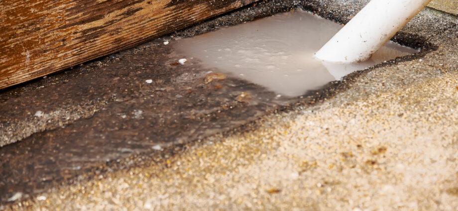 A Homeowner’s Guide to Sewer Line Repair and Maintenance - Newslibre