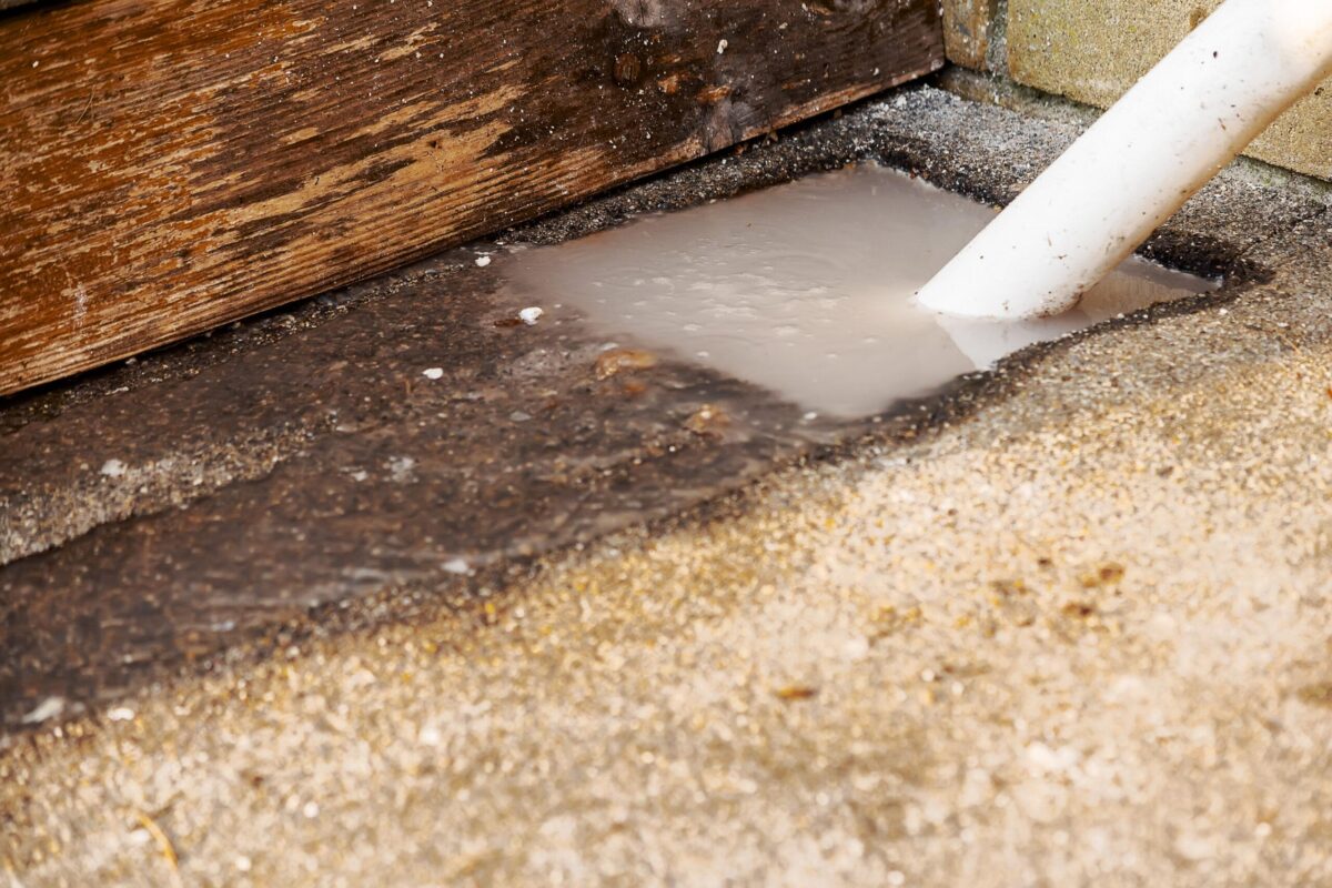 A Homeowner’s Guide to Sewer Line Repair and Maintenance - Newslibre