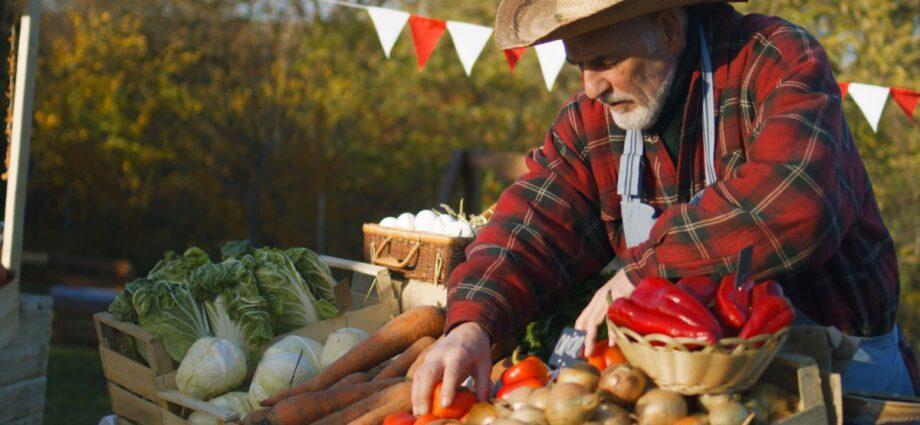 The Different Ways the Seasons Can Affect Your Business - Newslibre