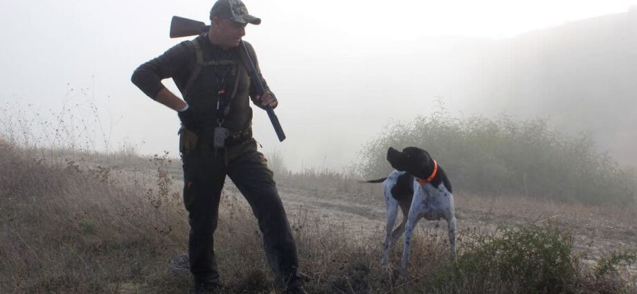 Gun Safety Tips You Need to Know Before Buying Your First One - Newslibre