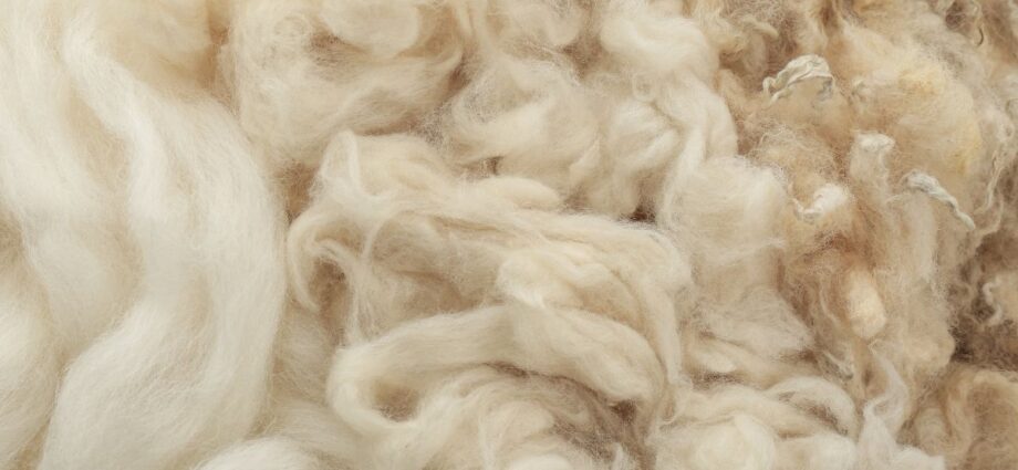 Materials That You Didn’t Know You Can Use as Insulation - Newslibre