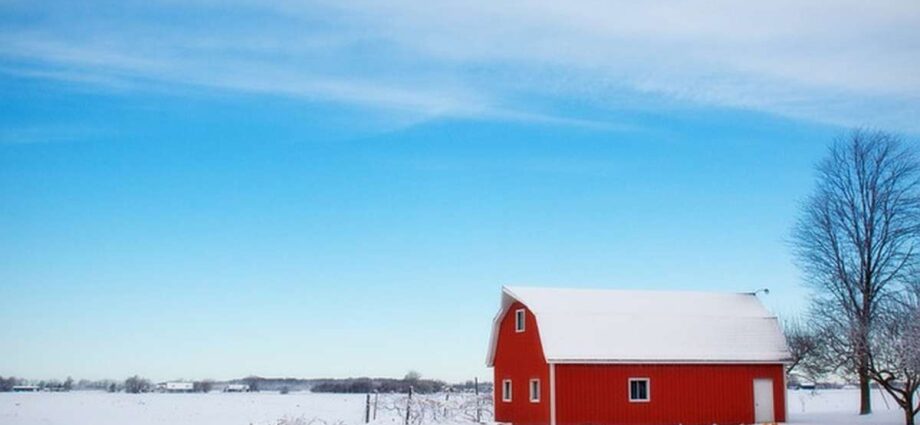 8 Unique Mini Barn Designs You Can Use for Your Homestead - Newslibre