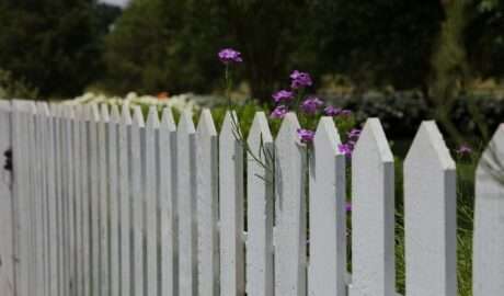 Sustainable and Stylish: Eco-Friendly Fencing for Contemporary Homes - Newslibre