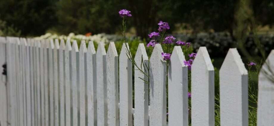 Sustainable and Stylish: Eco-Friendly Fencing for Contemporary Homes - Newslibre