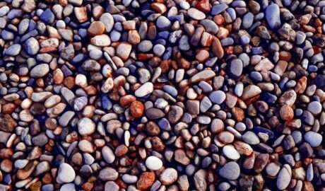 How to Create a Beautiful Low-Maintenance Gravel Gardens - Newslibre