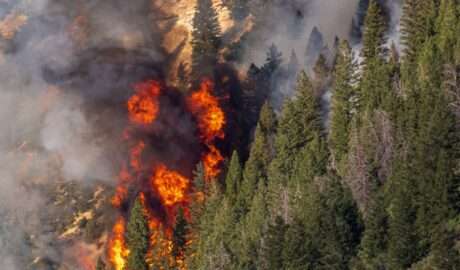 What Utilities Can Do Against Wildfire Spread - Newslibre