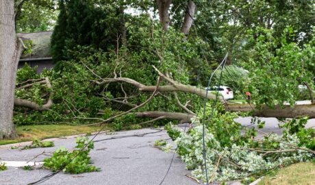 Recovering After the Storm: What to Do When the Skies Clear 5 A fallen tree lays over the road after a storm in a neighborhood with power lines and broken branches on the ground around it.