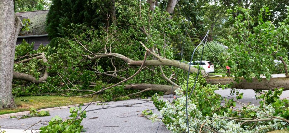 A fallen tree lays over the road after a storm in a neighborhood with power lines and broken branches on the ground around it.