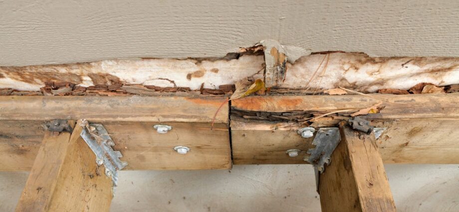 A home's wood framing is exposed, showing rot, damage, and disintegration. The framing forms the home's deck.