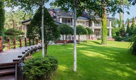 4 Alternative Ground Cover Options That Require Minimal Upkeep - Newslibre