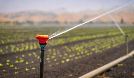 Why Irrigation Scheduling Matters for Crop Health and Yield