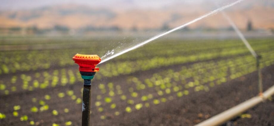 Why Irrigation Scheduling Matters for Crop Health and Yield