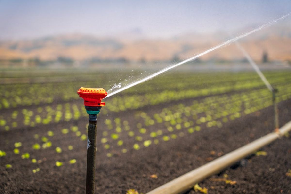 Why Irrigation Scheduling Matters for Crop Health and Yield