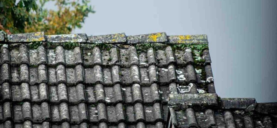 Is Your Roof Really Okay? A Homeowner’s Step-by-Step Post-Storm Checklist