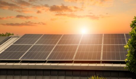 Two long rows of solar panels placed on a residential roof next to a tree with the sun shining bright in the background.