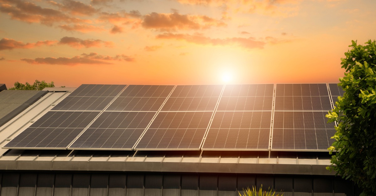 Two long rows of solar panels placed on a residential roof next to a tree with the sun shining bright in the background.